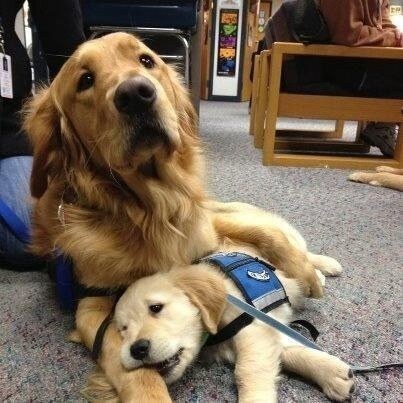 Sometimes, friendship is about letting someone derp all over you.