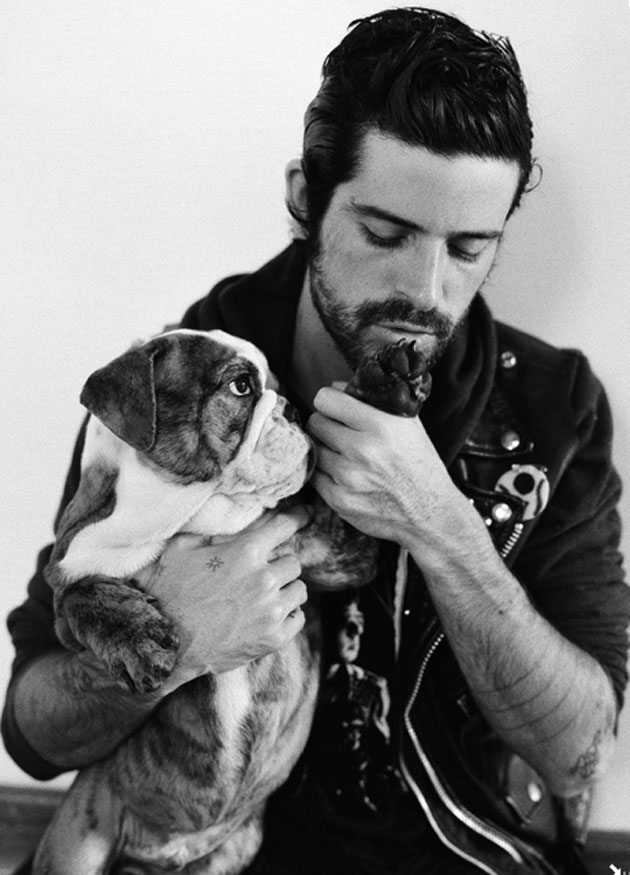 devendra banhart bulldog puppy aww