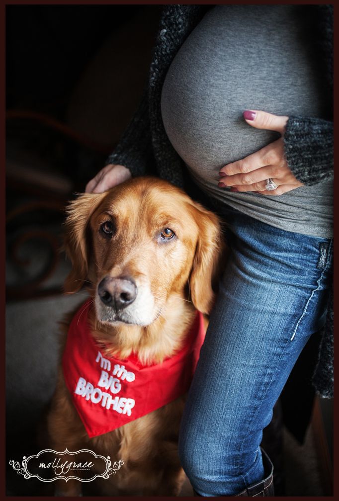 Maternity Photography | Outdoor | Pregnancy Photos | Pose Ideas | Photo Session Idea | Props | Clothing | Pet | Dog | Golden Retriever | Puppy | Goldens