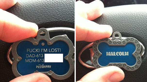 It Was Time For A New Tag For His Collar It Was Time For A New Tag For His Collar