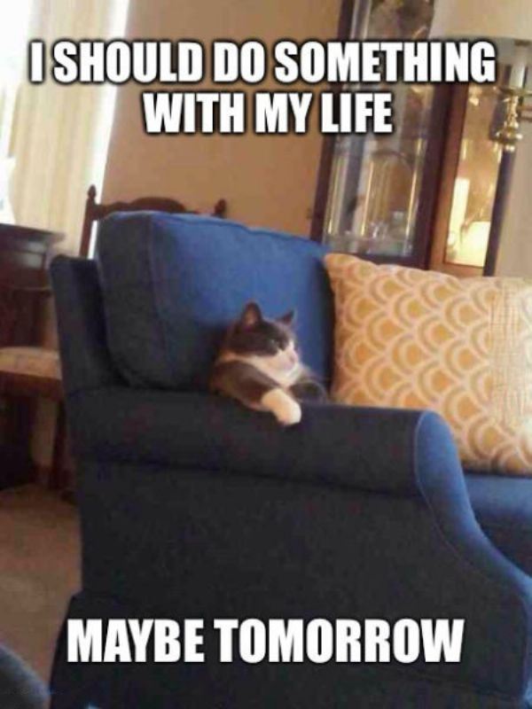 maybe tomorrow funny picture