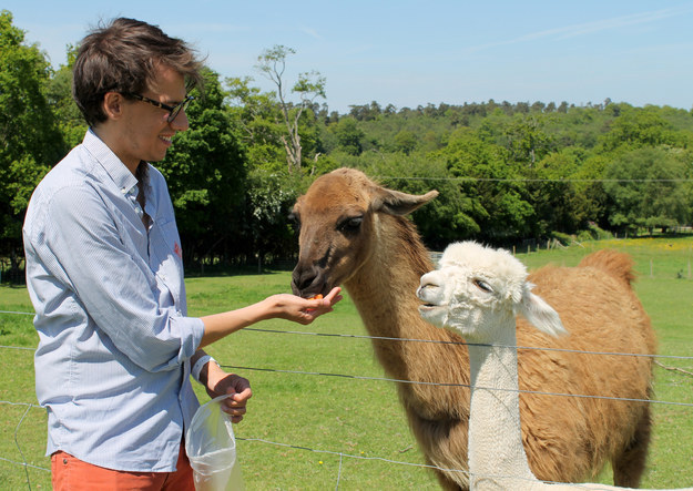 It is where llama dreams come true.