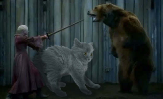 A kitten for Brienne of Tarth!