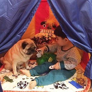 They love building forts to play in. | This Little Boy And His Pug Are The Cutest BFFs On The Planet