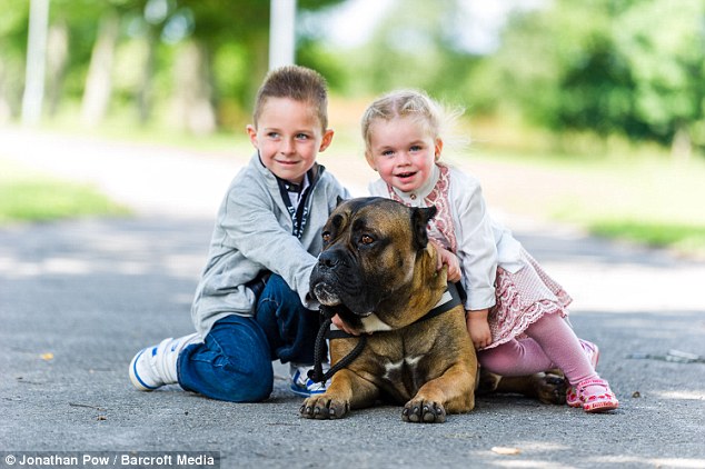 Despite the ferocity of the dogs handled by the duo, Leedor and Robert are adamant that their canines are safe to be around children and that the owners are in total control