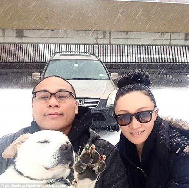 Beginning: On March 5, Mr Rodriguez posted the first image of Poh to Instagram, in which the dog can be seen peering out of the window of a car. He also uploaded this one of him, his fiancee and Poh smiling in the snow