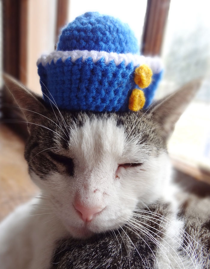 Sailor Cat Hat