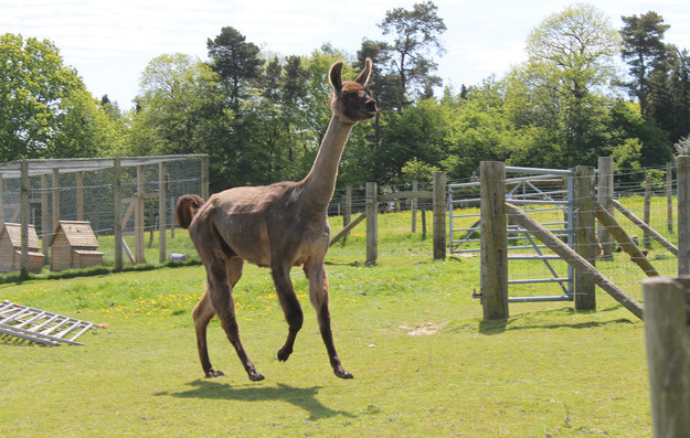 At least this skippy fellow was thrilled to see us.