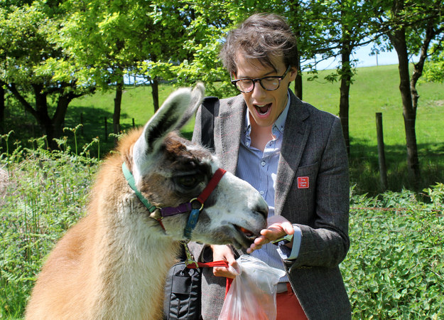 Indeed, it takes a long time to build up a meaningful relationship with a llama.
