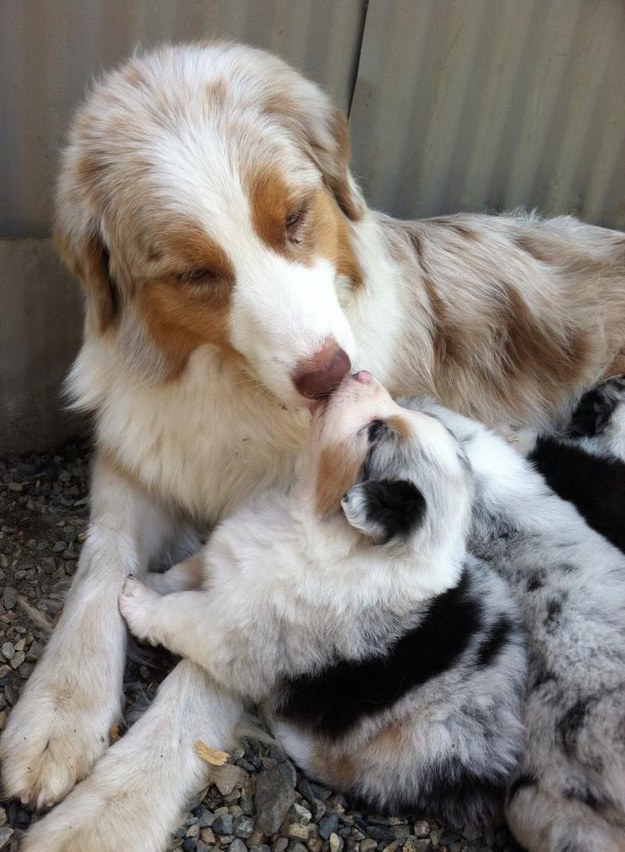 From their earliest days...