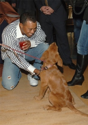 Tiger_Woods_Pets_Dog_Pic_1(1)