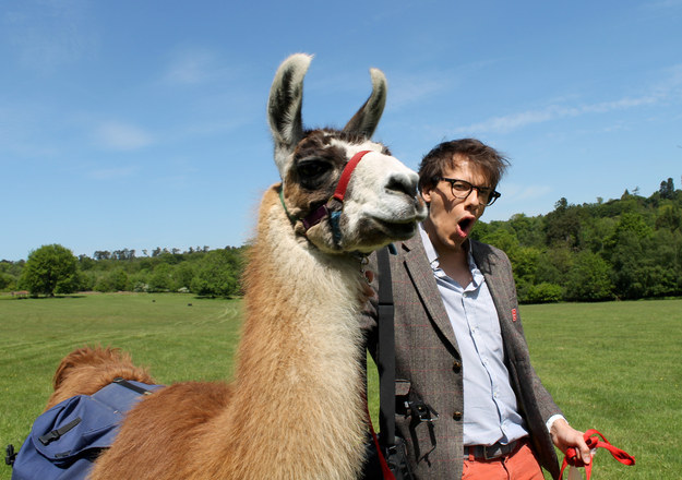 But once you do, you are llama-bros for life!