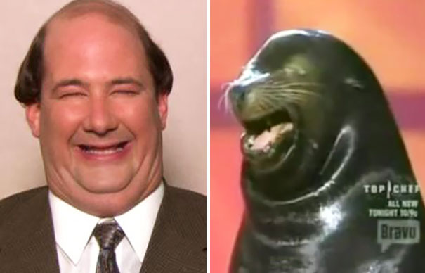 Kevin From The Office Looks Like A Seal