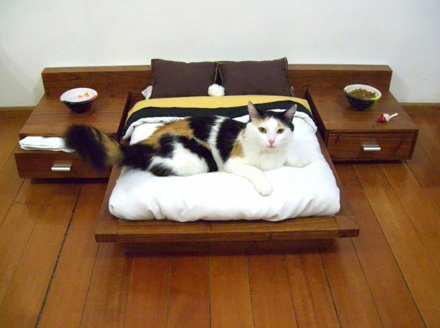 cool-cat-furniture-bed-little