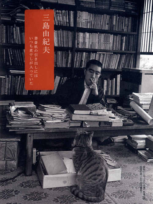 writersandkitties: Kitty watching over Mishima’s work. 