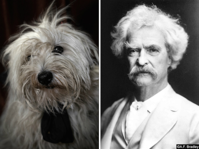 Bark-Twain