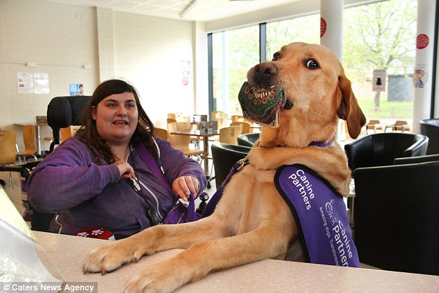 The dog presents Ms Syversten's purse to the cashier at supermarkets when they regularly go shopping