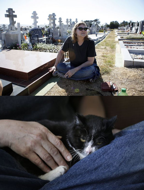 Homeless woman and feral cat save each other