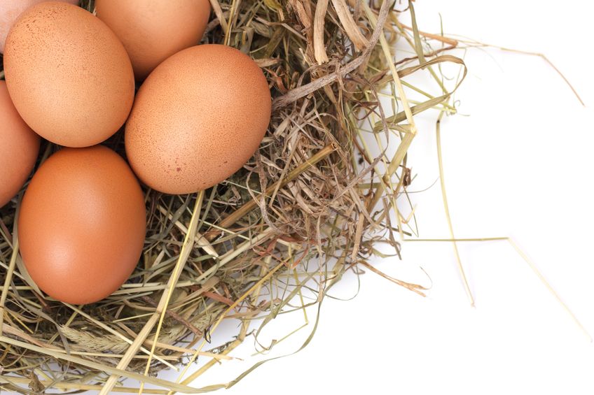 Eggs