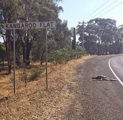 Where some residents take signs too literally.
