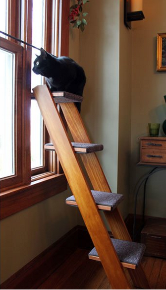Or use an old ladder as a cat climbing ramp.