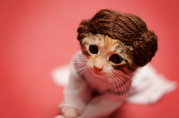 Princess Leia, Star Wars.