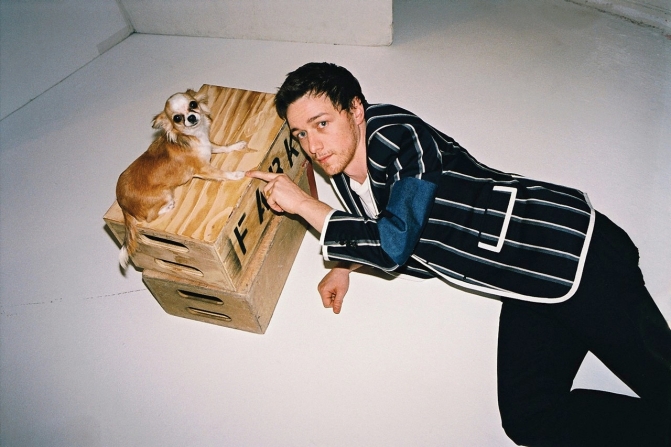 james mcavoy dog bae