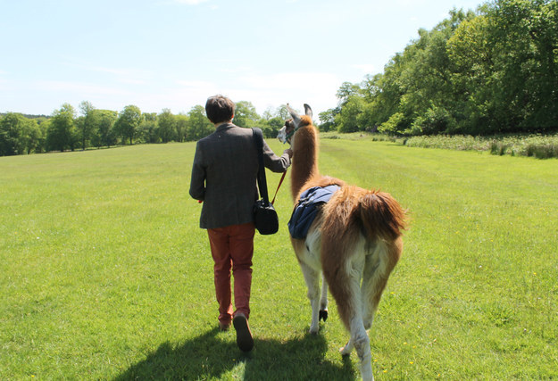 So what was my biggest aha moment during the Llama Walkabout?