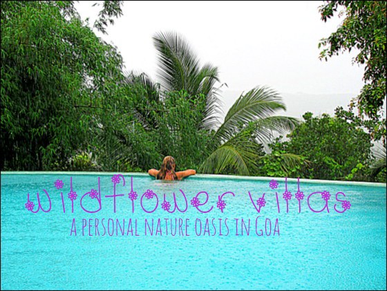 wildflower villas goa eco resort