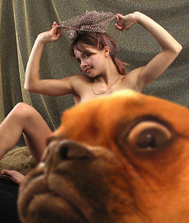dog-knows-how-to-photobomb