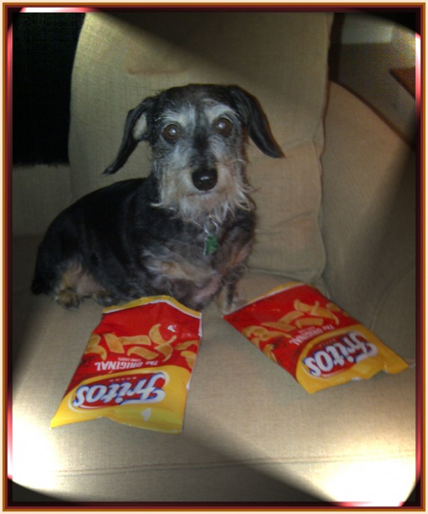 frito-feet