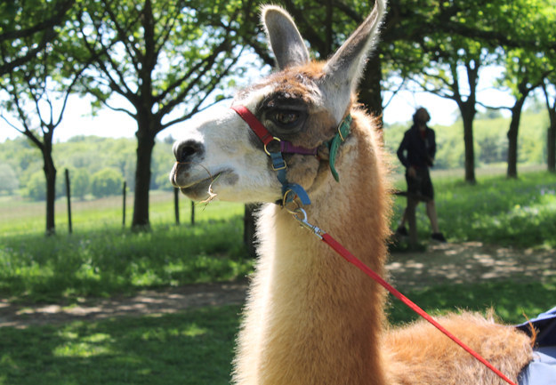 And majestic.