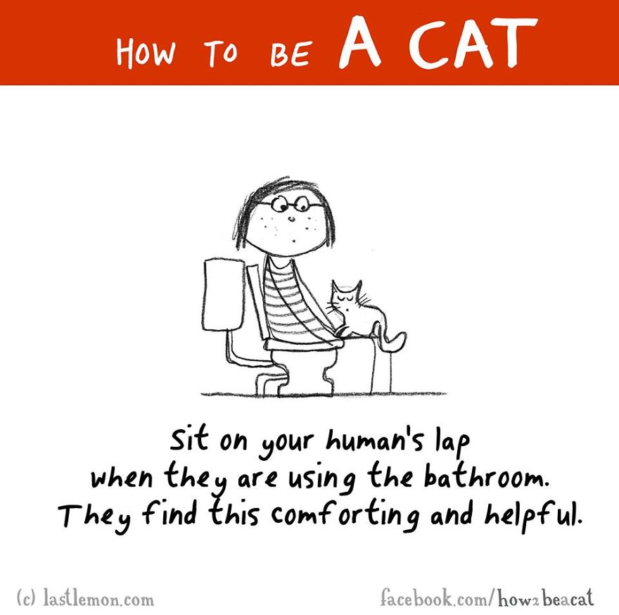 How To Be A Cat