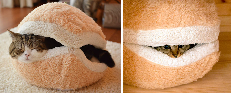 cool-cat-furniture-burger-bed