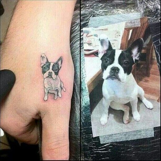 I think he must love this dog so much. Cool tattoo of his memory dog. I like dog best among pets, too.