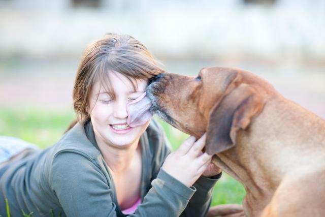 dog licking girl's face - Zero Creatives/Cultura/Getty Images