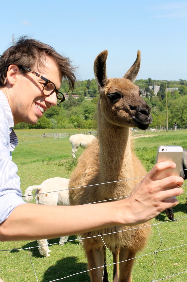 This llama enjoyed taking an impromptu selfie.