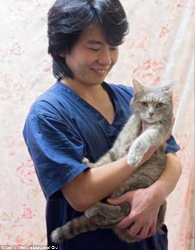 Pippa the cat with Queensland vet Heday Nakayima, who has nursed the three year old cat back to health after she suffered severe dehydration and weight loss