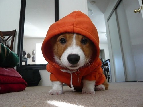 This dude who made hoodies the new adorable fashion trend.