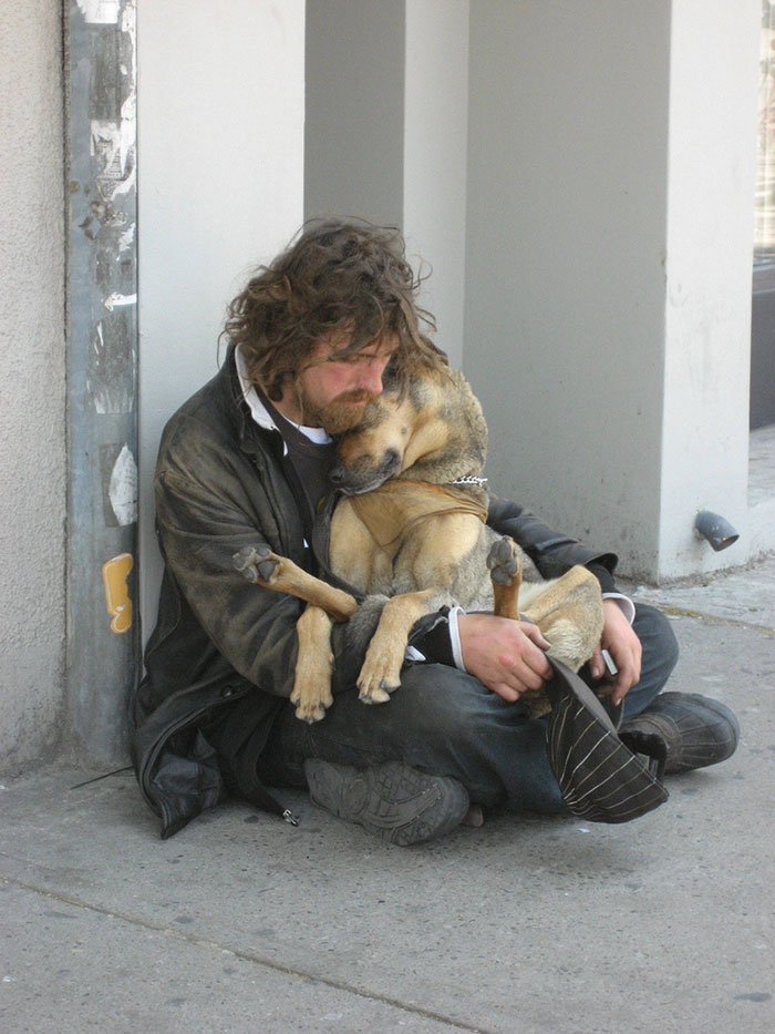 Homeless Dog Who Loves To Cuddle