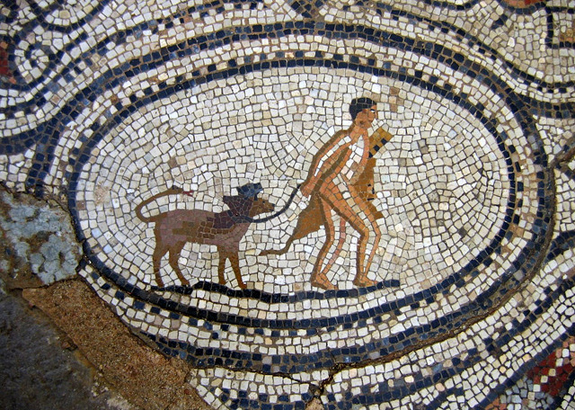 greece dog