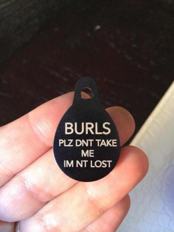 Friends New Cat Tag, She Kept Getting Adopted Friends New Cat Tag, She Kept Getting Adopted
