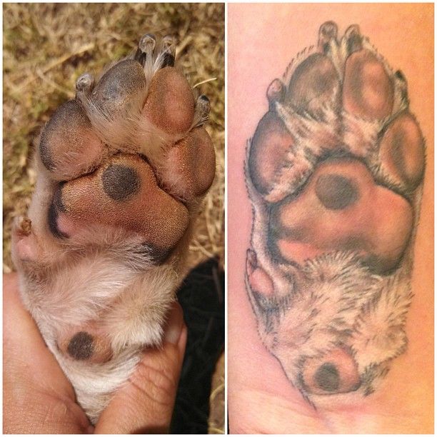 Dog paw print tattoo! <3 this!!! This is exactly what I want... to true size and accurate to his real paw print! I think I've decided..