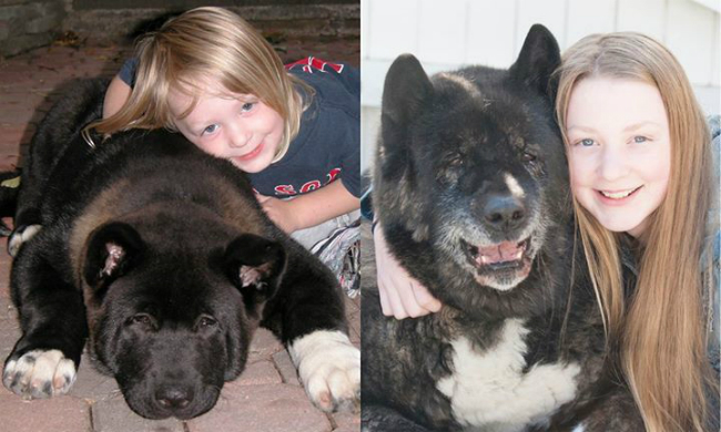 becks-and-koda-dog