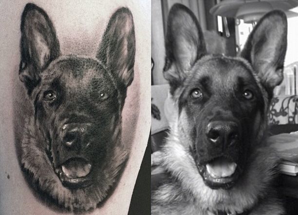 An incredibly photo-realistic portrait of a German Shepherd: | 14 Awesomely Beautiful Pet Tribute Tattoos