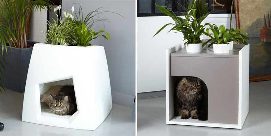 cool-cat-furniture-plants-pot