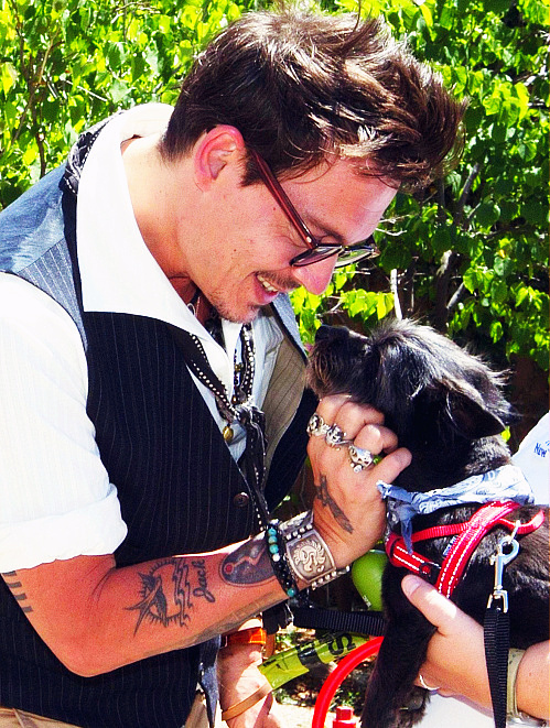 johnny depp cuddle dog