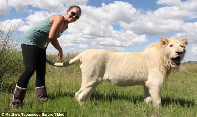 Joanne, 30, who now lives in Polokwane, Limpopo Province, South Africa, was taking part in what sounds like one of the most dangerous wildlife tours