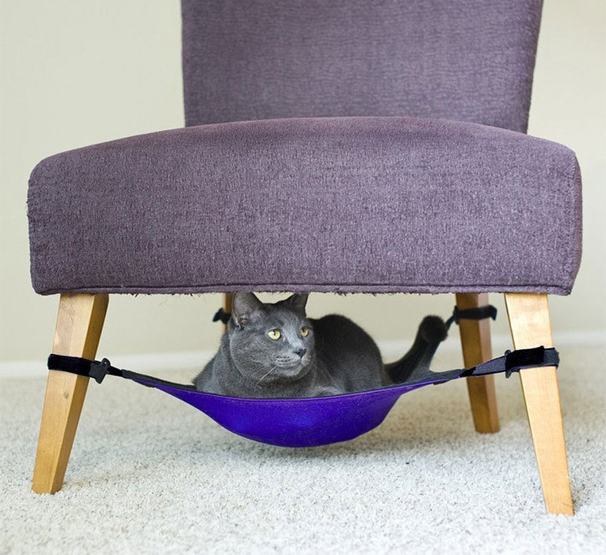 cool-cat-furniture-chair-hammock