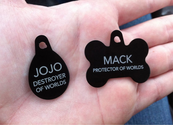 We Moved, So I Had To Get The Dog And Cat New Name Tags We Moved, So I Had To Get The Dog And Cat New Name Tags